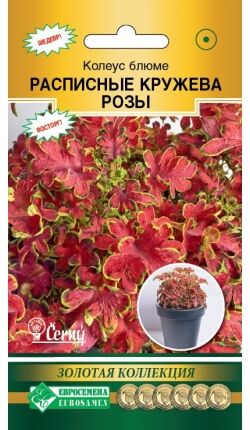 Колеус блюме Расписные Кружева Розы (10 драже)