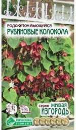 Родохитон РУБИНОВЫЕ КОЛОКОЛА (6 шт)