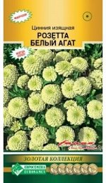Цинния изящная Розетта Белый Агат (5 шт)