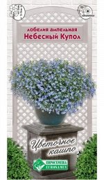 Лобелия ампельная Небесный купол (0,1 гр)