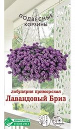 Лобулярия приморская Лавандовый Бриз (0,01 гр)