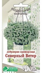 Лобулярия приморская Северный Ветер (0,01 гр)