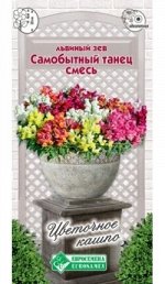 Львиный зев Самобытный Танец, смесь (0,1 гр)