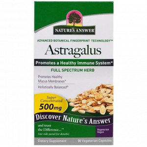 Natures Answer, Астрагал, 500 мг, 90 растительных капсул