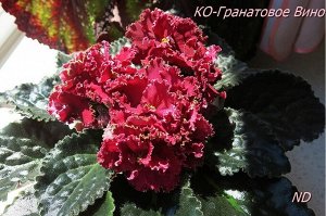 КО - Гранатовое вино