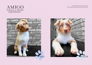 AMIGO Гель-пенка для мытья лап для собак и кошек 300мл