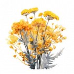 Эфирное масло Бессмертника Болгарского (культивируемый), Helichrysum italicum 1 мл.