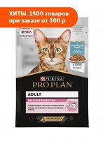 Pro Plan (Проплан) Delicate влажный корм для кошек с чувствительным пищеварением Океаническая рыба в соусе 85гр пауч
