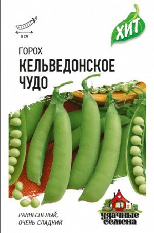Горох Чудо Кельведонское ЦВ/П (ГАВРИШ) 6гр раннеспелый 45-65см