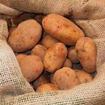 Семенной картофель &quot;Антонина&quot;, 3 кг