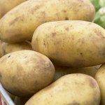 Семенной картофель &quot;Антонина&quot;, 5 кг