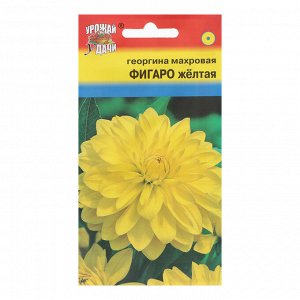 Семена цветов Георгина "Фигаро", Жёлтая, 0,05 г