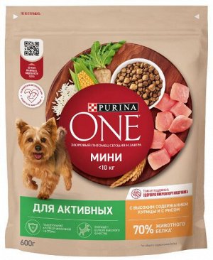 Purina ONE Мини Активная сухой корм для собак мелких пород Курица/рис 600гр