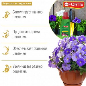 Удобрения минеральные BONA Forte Красота для петуний балконных цветов 285мл жидкое