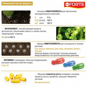 BONA FORTE Петуния и балконные цветы 0,285л Красота Бона Форте 1/20