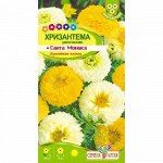 Хризантема Санта Моника увенчанная 0,3 гр. многолетник