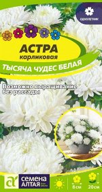 Цветы Астра Тысяча чудес белая карликовая 0,2 гр