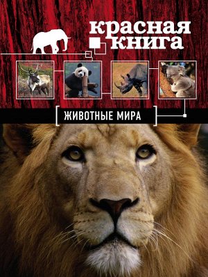 Скалдина О.В., Слиж Е.А. Красная книга. Животные мира