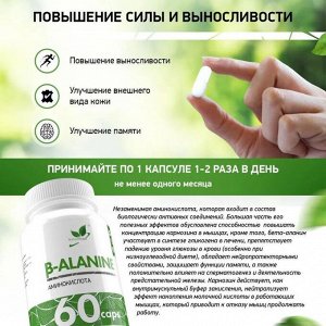 Бета-аланин NaturalSupp Beta Alanine - 60 капс.