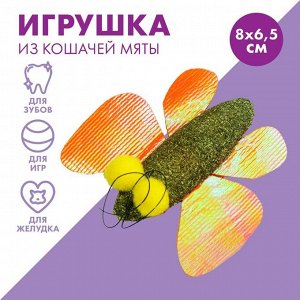 Игрушка для кошек «Бабочка» из кошачьей мяты, 8 х 6,5 см