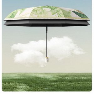 Автоматический зонт с 8-ю спицами, цвет зеленый, с принтом