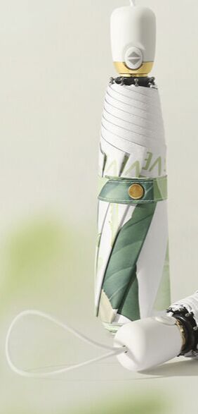 Автоматический зонт с 8-ю спицами, цвет зеленый/белый, с принтом