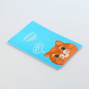 Ветеринарный паспорт международный «Рыжий кот»