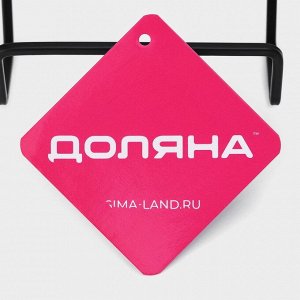 Подставка для крышек и разделочных досок Доляна, 12,5х9х10,5 см, цвет чёрный
