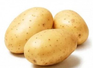 Картофель Зекура 3 кг, средне-ранний