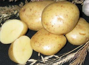 Картофель Тимо, 3 кг, ранний сорт