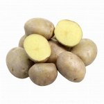 Картофель Тимо, 5 кг, ранний сорт