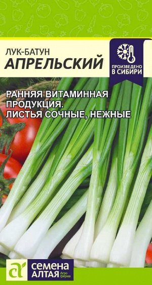 Лук Батун Апрельский/Сем Алт/цп 1 гр.