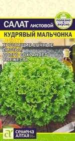 Зелень Салат Кудрявый Мальчонка/Сем Алт/цп 0,5 гр.