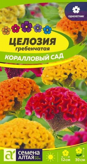 Цветы Целозия Коралловый Сад гребенчатая/Сем Алт/цп 0,2гр.