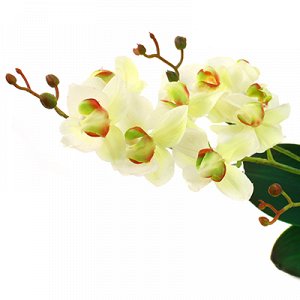 Цветок "Орхидея белая" с корнем 43см, желтые стебельки (Китай)