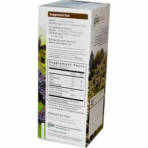 Gaia Herbs, Rapid Relief, сироп чёрной бузины, 160 мл