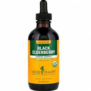 Herb Pharm, Black Elderberry, Alcohol-Free, 4 fl oz (120 ml)