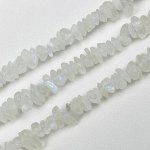 Бусины для украшений из Лунного камня