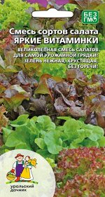 Салат Яркие витаминки - смесь ярких сортов