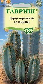 Цветы Цереус Бамбино ЦВ/П (ГАВРИШ) 4шт комнатное до 1,4м кактус