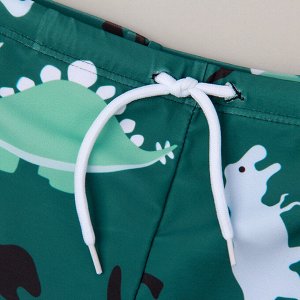 Плавки для мальчика пляжные, удобные и эластичные, зеленые с динозаврами