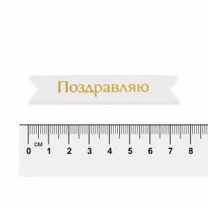 "Mr.Painter" MCB-03 Заготовки " Надписи для открыток" 70 x 15 мм 7 см х 1.5 см 5 х 5 шт. 01 Поздравляю (под серебро)