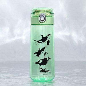 Бутылка для воды «Касатки», 520 мл