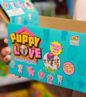 Игрушка Kidsmania Puppy Love Контейнер с собачкой и конфетами