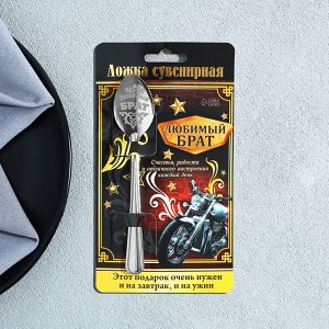 Ложка чайная с гравировкой «Любимый брат», на подарочной открытке, 3x14 см