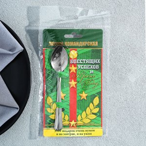 Ложка чайная с гравировкой «Командирская Ложка», на подарочной открытке, 3x14 см