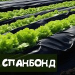 Спанбонд черный и белый разной плотности