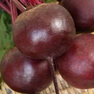 Свекла Красный шар (Червона кула) скороспелая, круглая 3гр Гавриш/БП