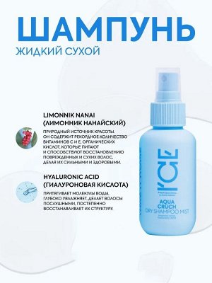 Натура Сиберика Шампунь сухой для волос 100 мл ICE by NATURA SIBERICA