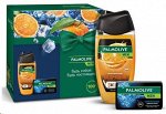 Palmolive Набор (гель д/душа 3в1 Цитрус.заряд 250мл+мыло Северн.океан 90гр) муж 1уп.